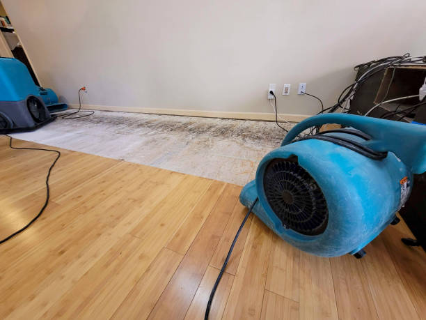 Professional Water Damage Repair technician working in Wilkinson, WV